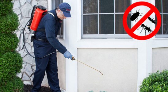 Evka 7 Haşere İlaçlama böcek ilaçlama ve haşere kontrolü — ilaclama-tr.com